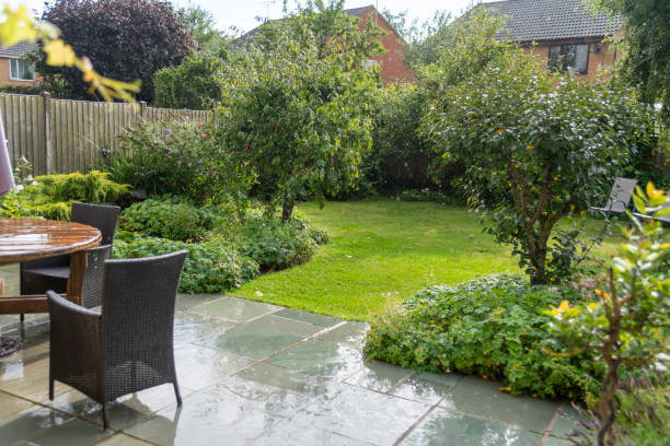 istock Domestic English garden in a spring rain shower 1401796592