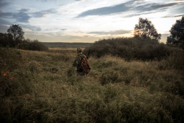 istock Hunter man in camouflage with shotgun going through tall reed grass and bushes with dramatic sunrise during hunting season 1401798163