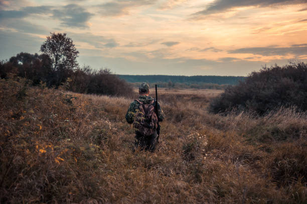 uomo cacciatore in mimetica con fucile da caccia che striscia attraverso l'erba alta e i cespugli con il drammatico cielo al tramonto durante la stagione di caccia - hunter foto e immagini stock