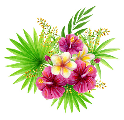 Tropical bouquet of  hibiscus rose, frangipani and greenery of fan leaf and palm fronds. Exotic floral composition hand drawn watercolor painting of natural leaves and flowers isolated on white.