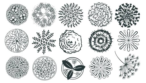 Plants for landscape plans top view vector Set of architectural trees, potted plants top view. Pictograms for master plans and winter gardens in landscape design in a sketch style. Isolated on white background. Vector. landscape design stock illustrations