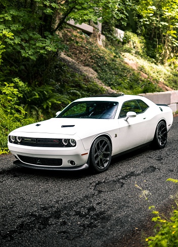 Seattle, WA, USA\n4/20/2022\nWhite Dodge Charger R/T parked on a forest road