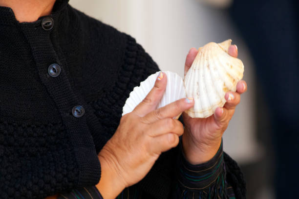 The hand holds a seashell. Marine background.