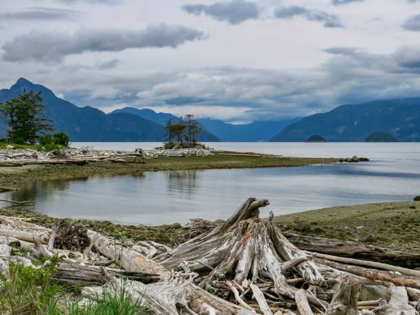 istock The Majestic Scenery in Coastal British Columbia 1401803423