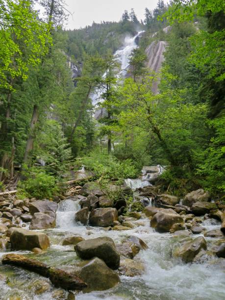 istock The Mighty Shannon Falls in Canada 1401803557