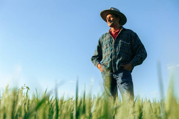 istock elderly farmer with hat standing in agricultural field. 1401805620