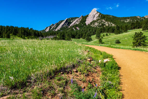 istock Flatirons from Chautauqua Park trail 1401806501