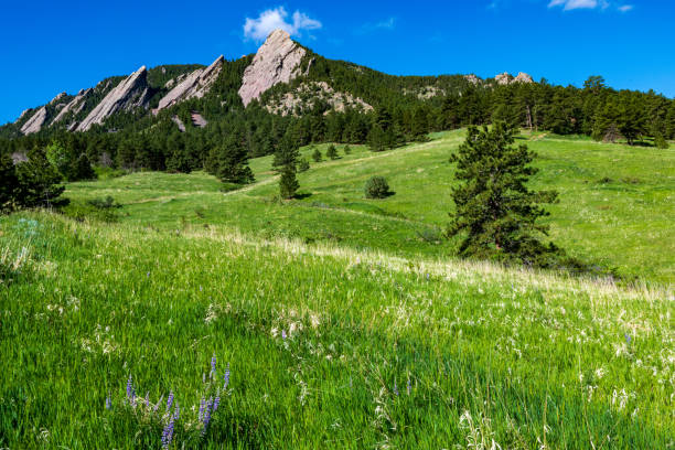 istock Flatirons from Chautauqua Park trail 1401807622