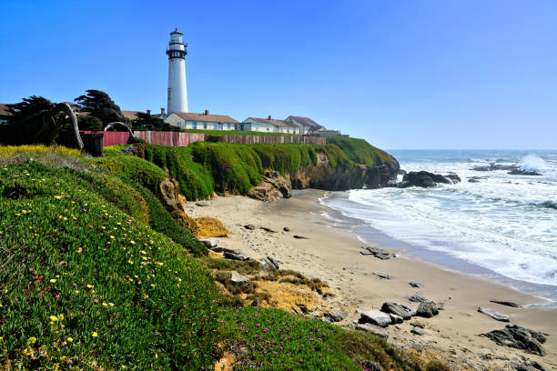 faro de pigeon point a lo largo de la costa de california, ee.uu. - pigeon point lighthouse fotografías e imágenes de stock