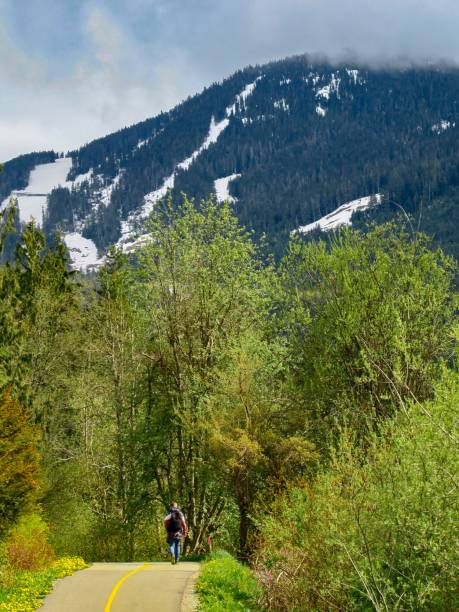 istock The Spectacular Mountain Scenery in Whistler 1401817085