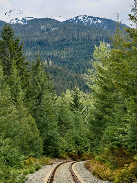 istock Railway and Spectacular Mountain Scenery in Whistler 1401817106