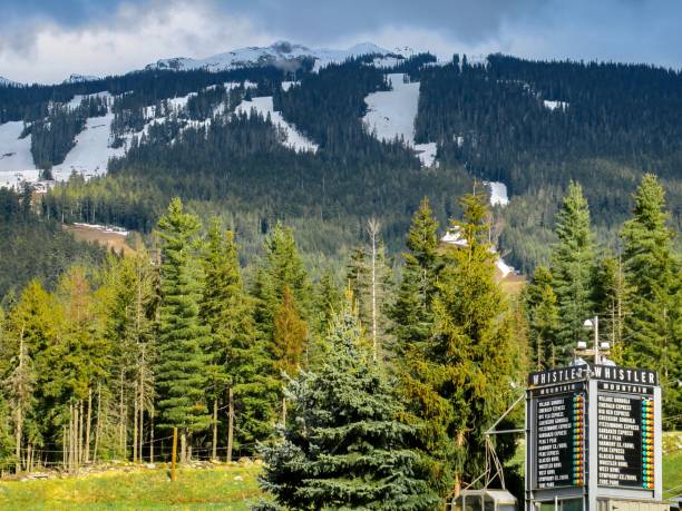 Whistler is a charming mountain resort in British Columbia, Canada.