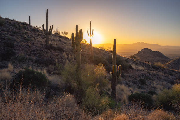 istock Sunrise in the Majestic McDowell Mountains 1401817265