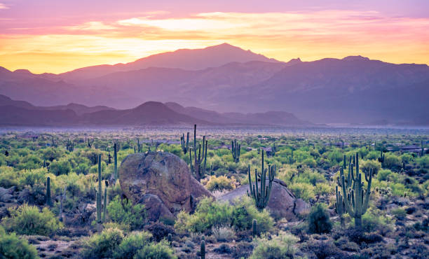 istock Sunrise in the Majestic McDowell Mountains 1401817402