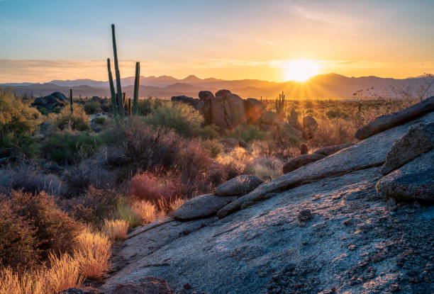 восход солнца в величественных горах макдауэлл - sonoran desert desert arizona saguaro cactus стоковые фото и изображения