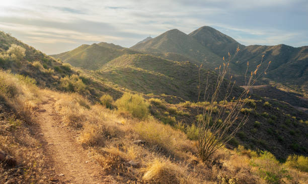 istock Sunrise in the Majestic McDowell Mountains 1401817532