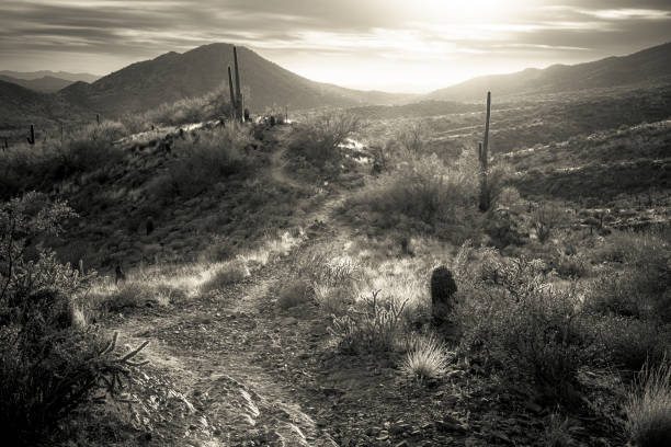 istock Sunrise in the Majestic McDowell Mountains 1401817582