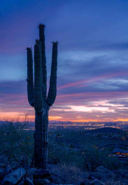 istock Sunrise in the Majestic McDowell Mountains 1401817622