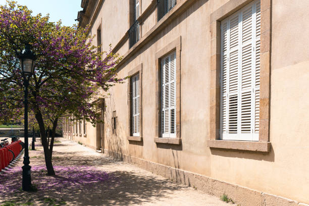 istock Side view of an apartment building with window shutters and blooming tree with falling petals on the ground 1401819332