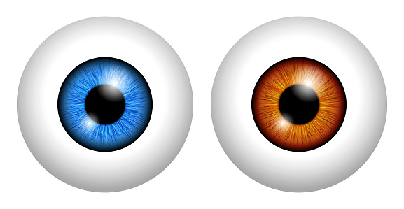 set of realistic human eyeball isolated or close up human eyeball retina with pupil and iris. eps vector