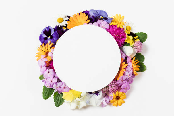 istock Spring and summer colorful flower border frame on white background. Flat lay, copy space for text, top view. Round wreath mockup pattern. 1401823552