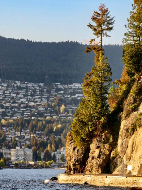 istock Stanley Park and North Vancouver at Sunset 1401826284