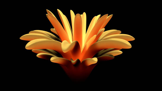 istock orange flower on the black background abstraction 3d-rendering 1401828389