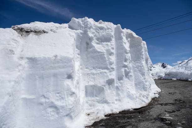 istock Snow wall in Whistler 1401828518