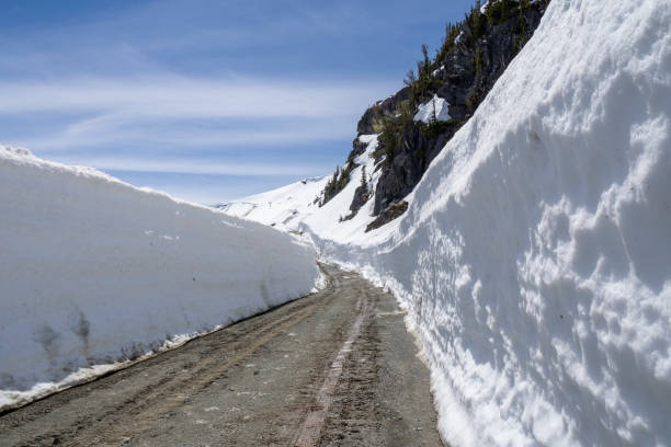 istock Snow wall in Whistler 1401828552