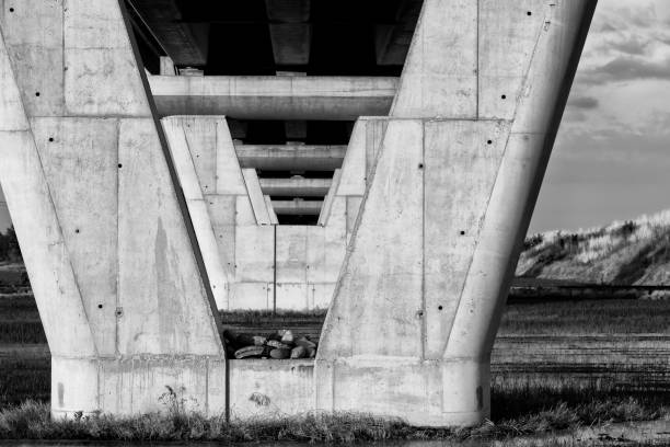 istock Railway pilon on a paddy field. Black and white photo 1401831699