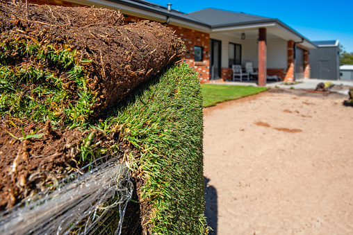 Laying turf on a domestic property in rural Victoria