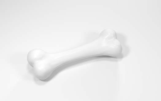 Bone isolated on white background, 3d rendering. Computer digital drawing.