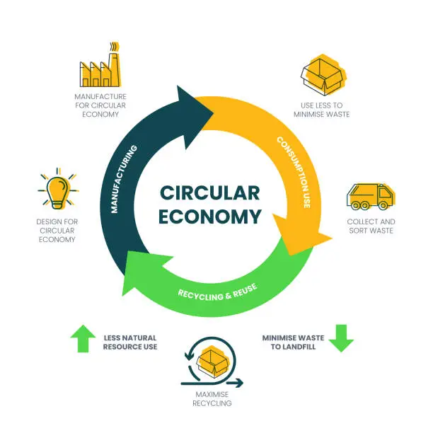 Vector illustration of The vector infographic diagram of the circular economy concept has 3 dimensions. For example, manufacturing has to design and manufacture. The consumption used is minimized, collected, and sorted.