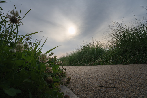 Grey concrete flooring blocks assembled on a substrate of sand with grass - type of flooring permeable to rain water as required by the building laws used for sidewalks and parking areas