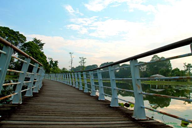 istock A bridge across the lake 1401839410