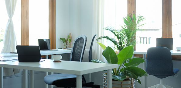 Bright modern office with computer laptop, houseplant and supplies on wooden table