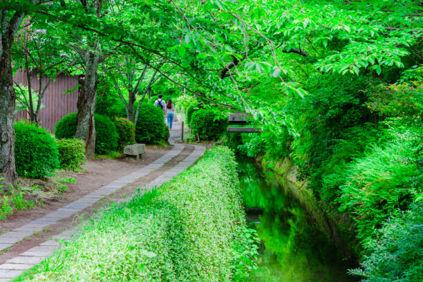 On June 3, 2019, the Tao of Philosophy in Kyoto, Japan was photographed