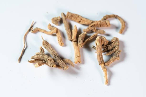istock chinese medicine polygala tenuifolia root on white background 1401846987