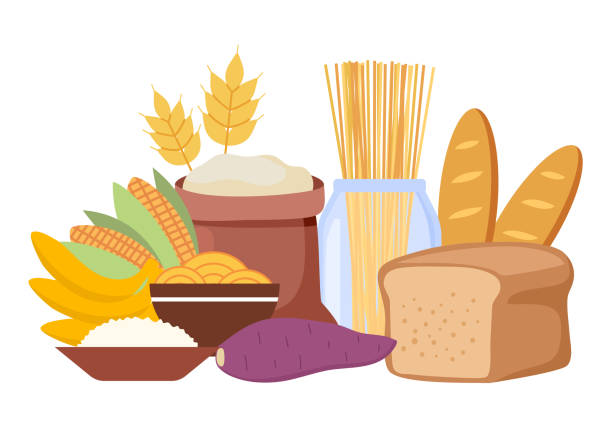 ilustrações, clipart, desenhos animados e ícones de ilustração vetorial do conceito de carboidratos em fundo branco. pão, arroz, milho, espaguete, macarrão e trigo em design plano. - bakery bread carbohydrate cereal plant