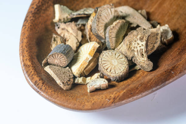 istock chinese medicine caulis sinomenii on white background 1401848356