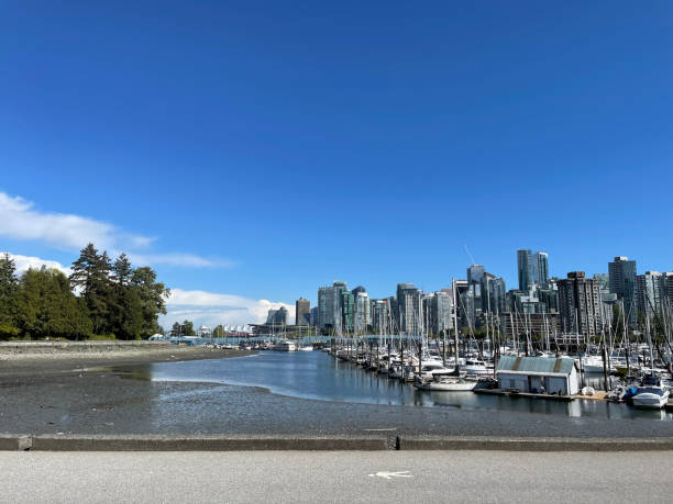 istock Harbor scenery from a park in Vancouver 1401852344