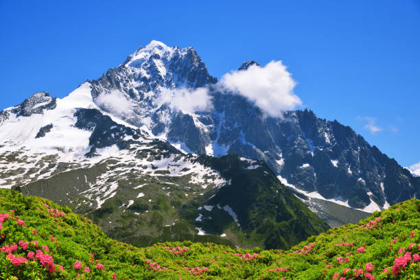 Mont Blanc from refuge Belachat, Chamonix, France