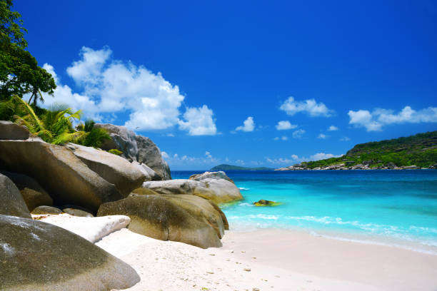 istock Tropical beach with coconut palm trees on Coco Island, Seychelles. 1401852698