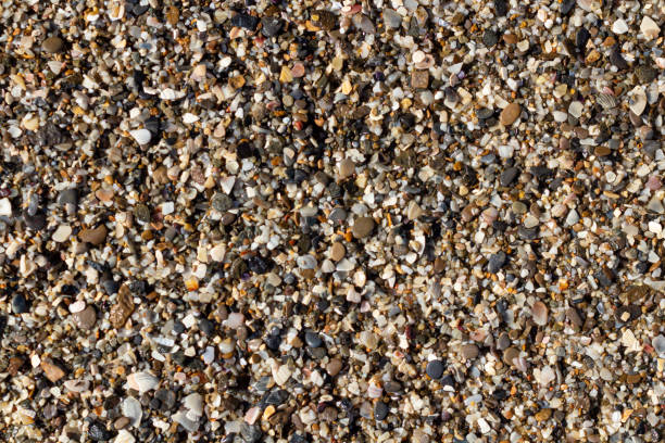 istock sea stone texture with many seashells. beautiful textured background. 1401853223