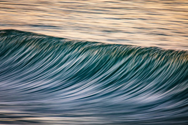 istock Clean ocean wave forming reflecting a bright golden sunrise at the beach 1401856601