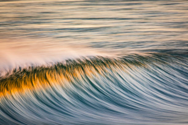 istock Clean ocean wave forming reflecting a bright golden sunrise at the beach 1401856612