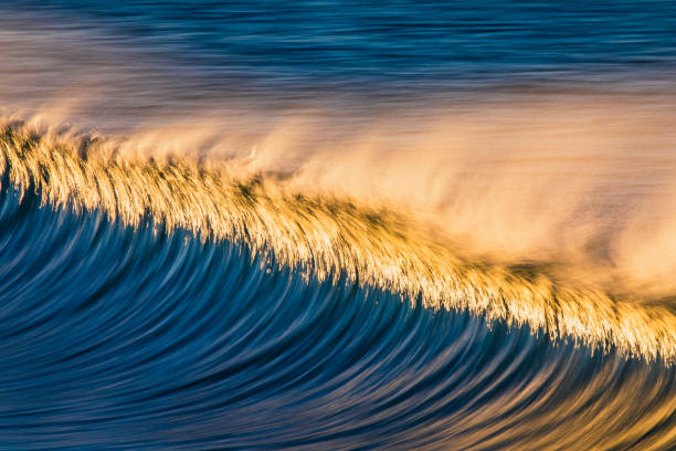 istock Clean ocean wave forming reflecting a bright golden sunrise at the beach 1401856619