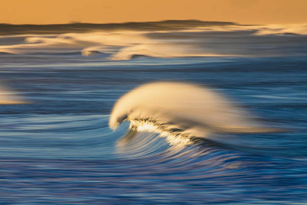 istock Clean ocean wave forming reflecting a bright golden sunrise at the beach 1401856620
