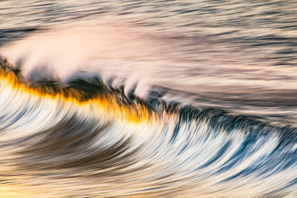 istock Clean ocean wave forming reflecting a bright golden sunrise at the beach 1401856635