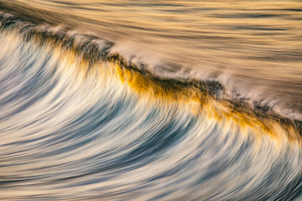 istock Clean ocean wave forming reflecting a bright golden sunrise at the beach 1401856726